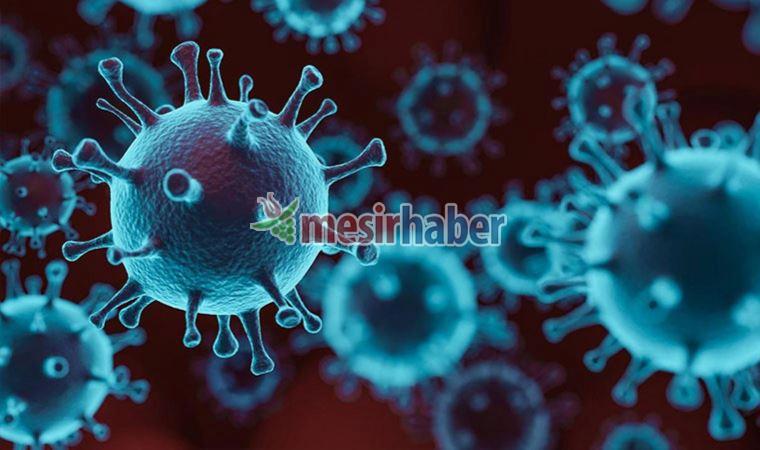 bakanliktan-haftalik-koronavirus-tablosu-rudTNAqH.jpg