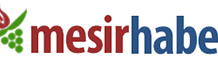 mesir-haber-logo-new-218x70